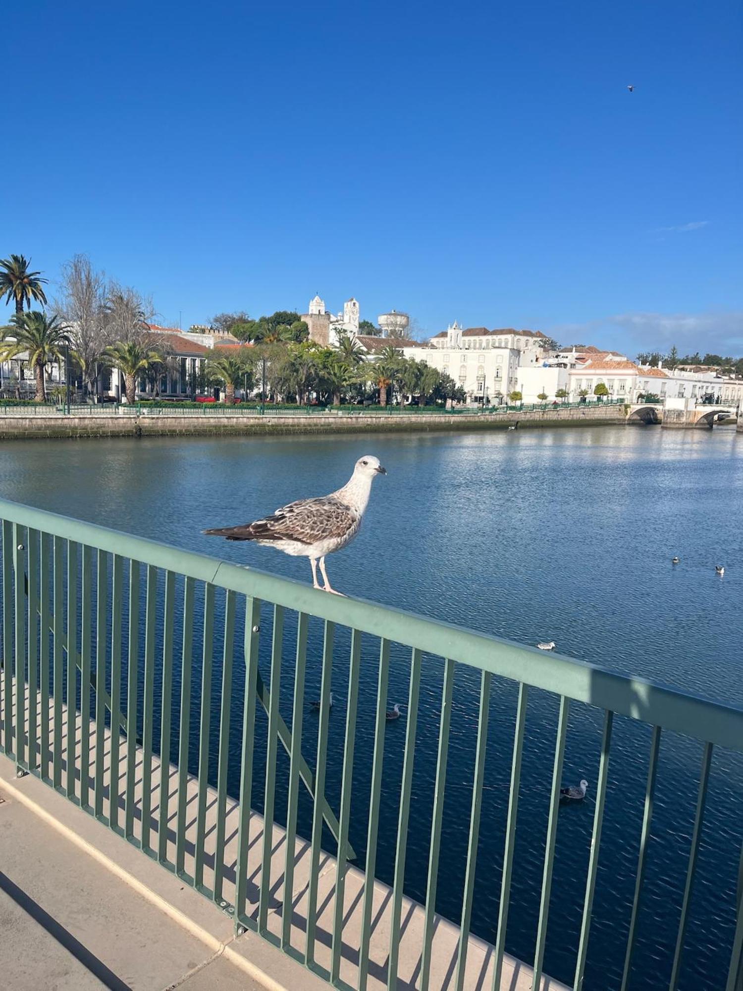 Stylish Townhouse With Gallery In The Heart Of Tavira For Two Exteriör bild